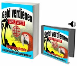 Geld verdienen-weltweit