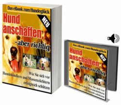 Hund anschaffen – aber richtig