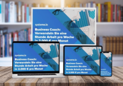 Business Coach: Verwandeln Sie 1 Stunde Arbeit pro Woche in 2.000 € pro Monat